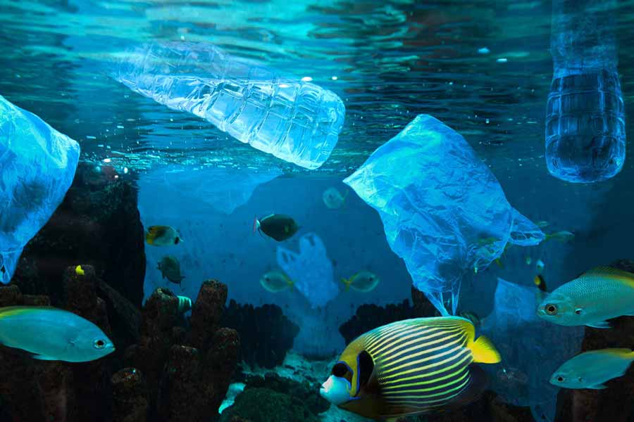 Recycled Sunglasses vs Virgin Plastic: The Green Choice